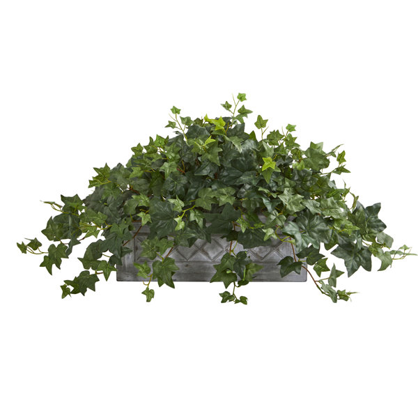 Charlton Home® 13" Artificial Ivy Plant in Planter & Reviews Wayfair